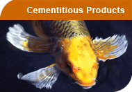Cementitious Products